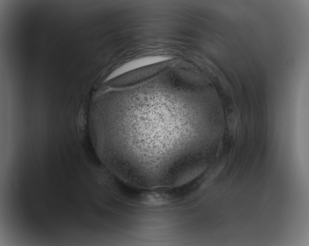 X0000089440372200706291429