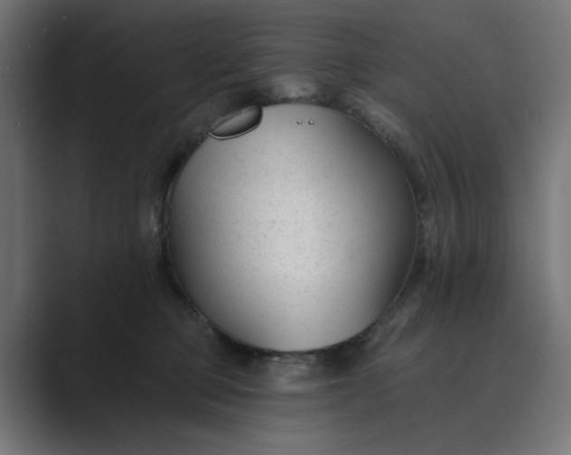 X0000089440373200706291429