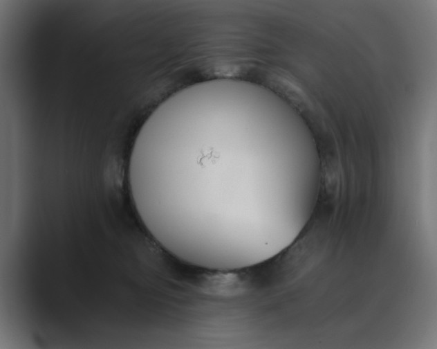 X0000089440374200706291429