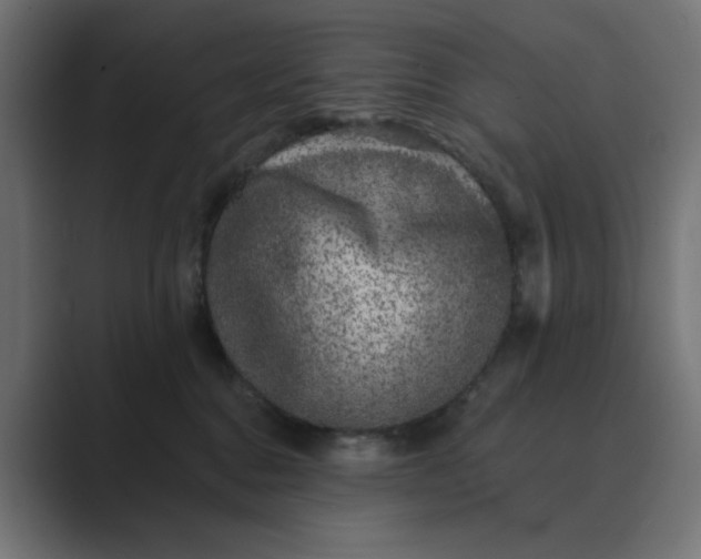 X0000089440376200706291429