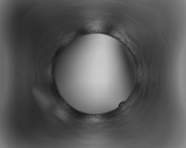 X0000089440377200706291429