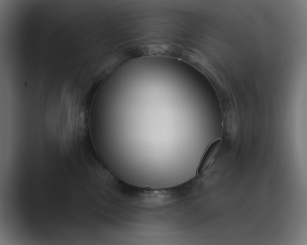 X0000089440378200706291429