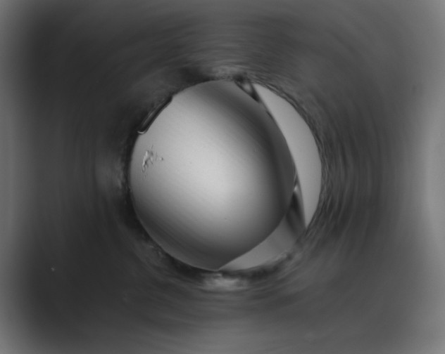 X0000089440380200706291429