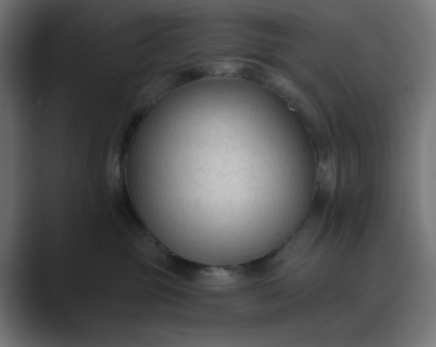 X0000089440381200706291429