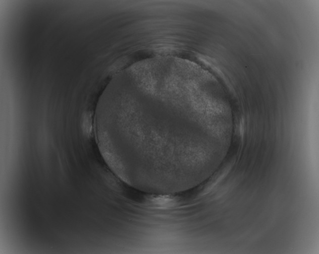 X0000089440383200706291429