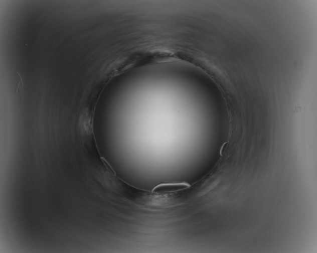 X0000089440384200706291429