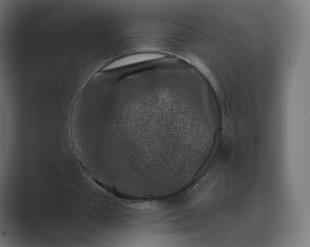 X0000089440385200706291429