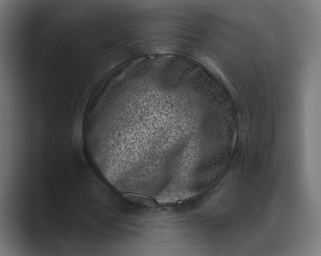 X0000089440386200706291429