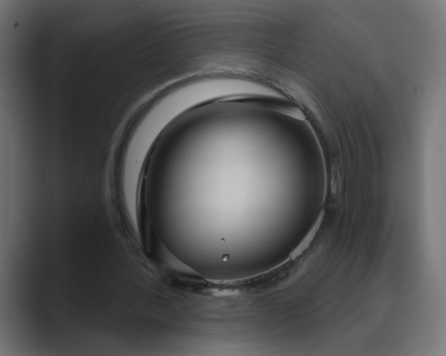 X0000089440388200706291429