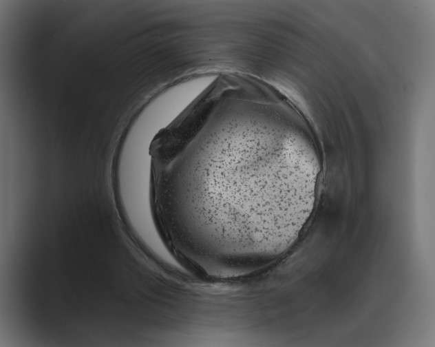 X0000089440389200706291429