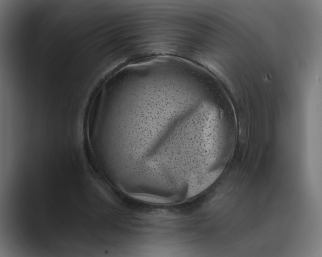 X0000089440390200706291429