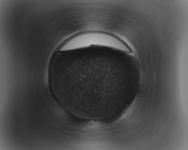 X0000089440391200706291429