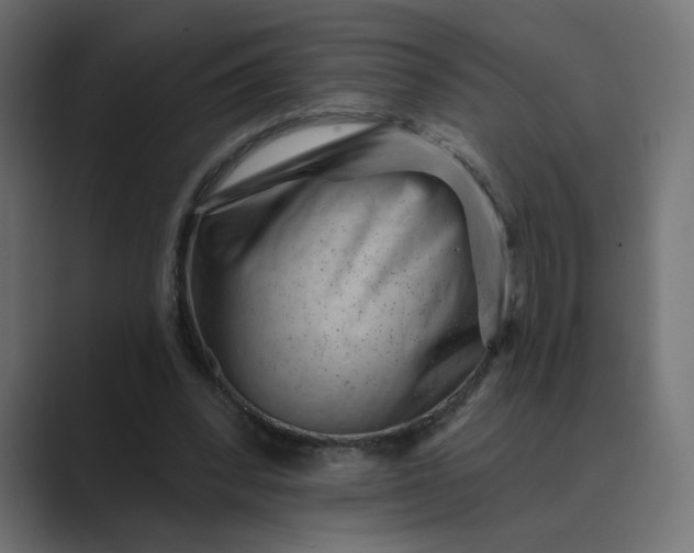 X0000089440392200706291429