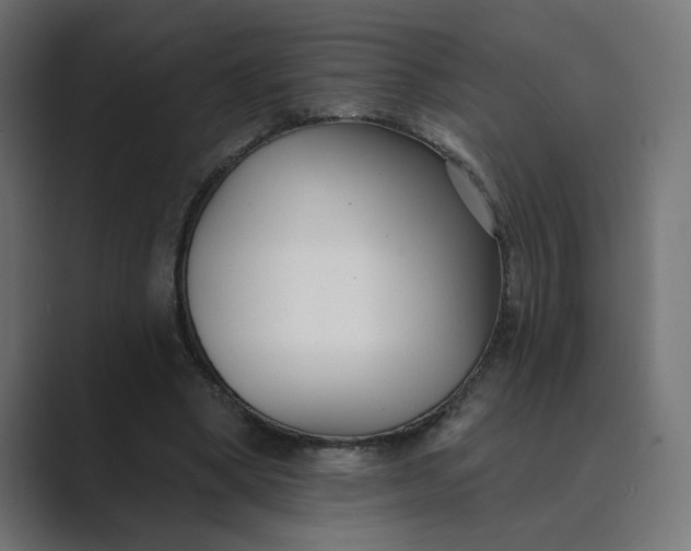 X0000089440394200706291429