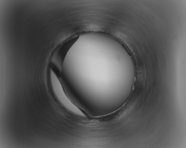 X0000089440395200706291429