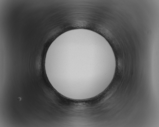 X0000089440396200706291429