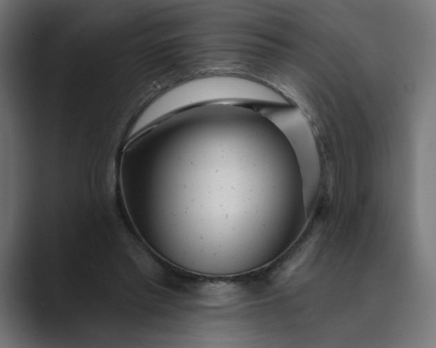 X0000089440397200706291429