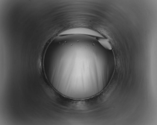 X0000089440398200706291429