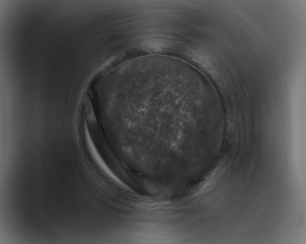 X0000089440399200706291429