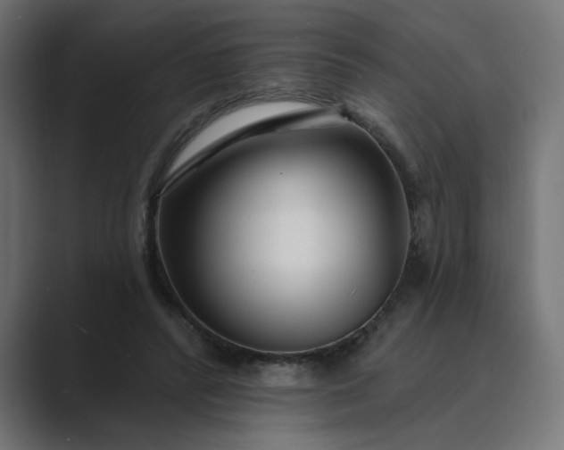 X0000089440400200706291429