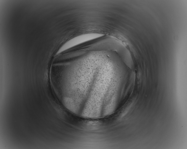 X0000089440401200706291429