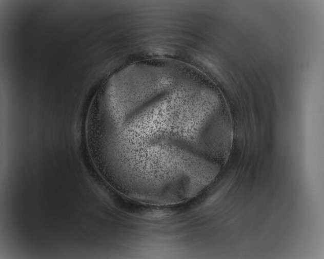 X0000089440402200706291429