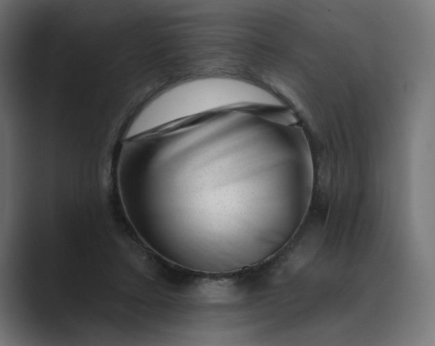 X0000089440403200706291429