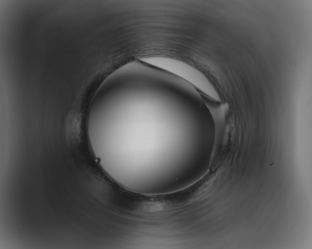 X0000089440404200706291429