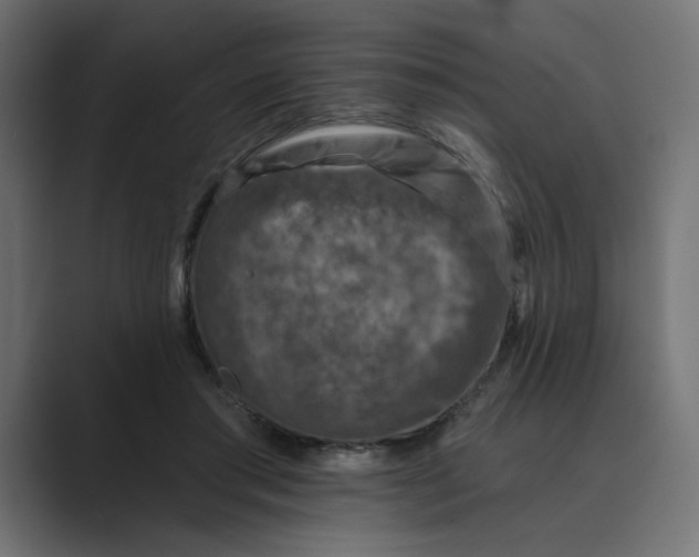 X0000089440405200706291429