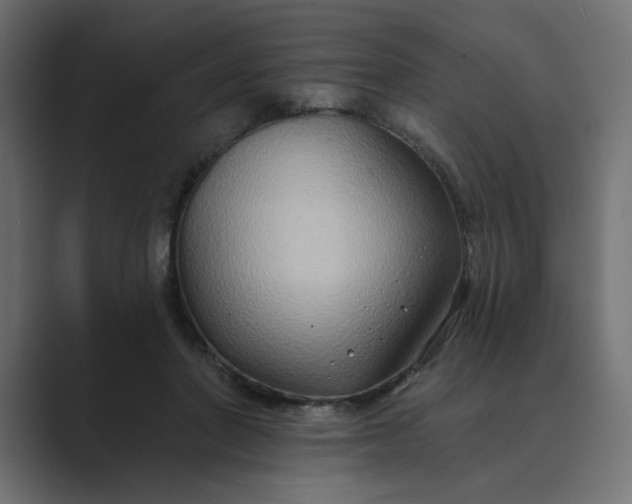 X0000089440406200706291429