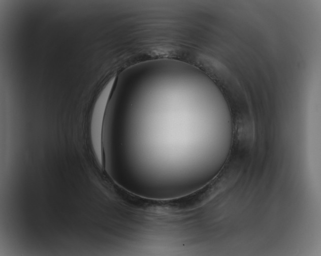 X0000089440408200706291429