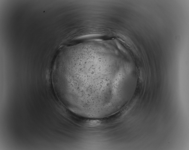 X0000089440409200706291428