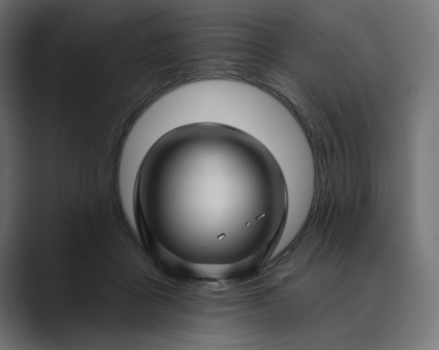 X0000089440411200706291428