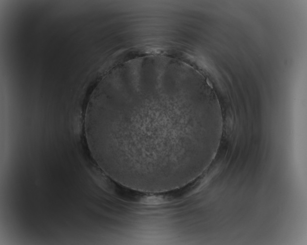 X0000089440413200706291428