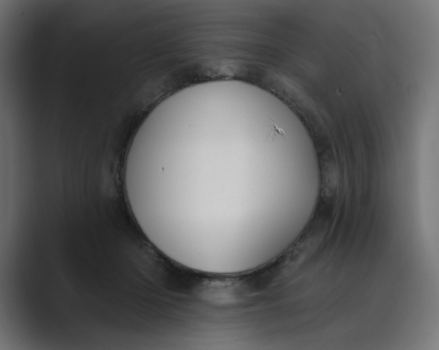 X0000089440414200706291428