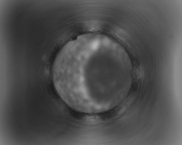 X0000089440415200706291428