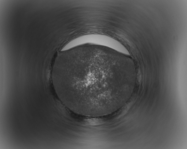 X0000089440417200706291428