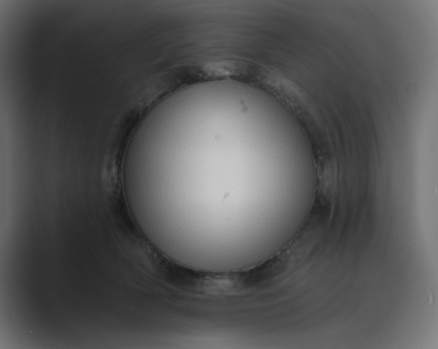 X0000089440418200706291428