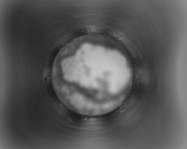 X0000089440419200706291428