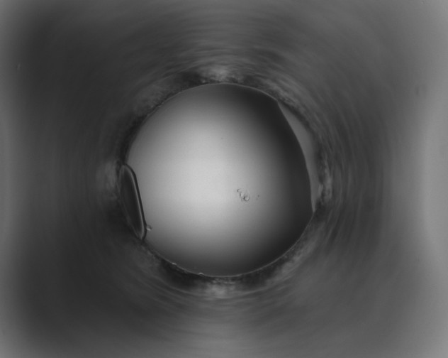 X0000089440420200706291428