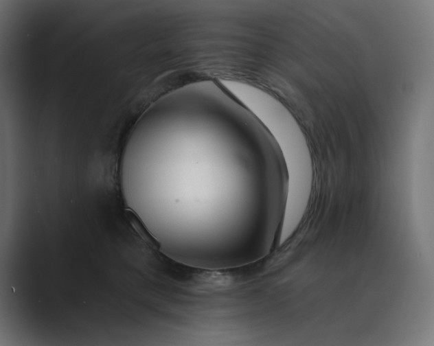 X0000089440421200706291428