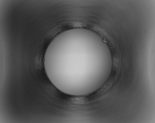 X0000089440422200706291428