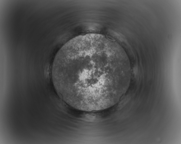 X0000089440423200706291428