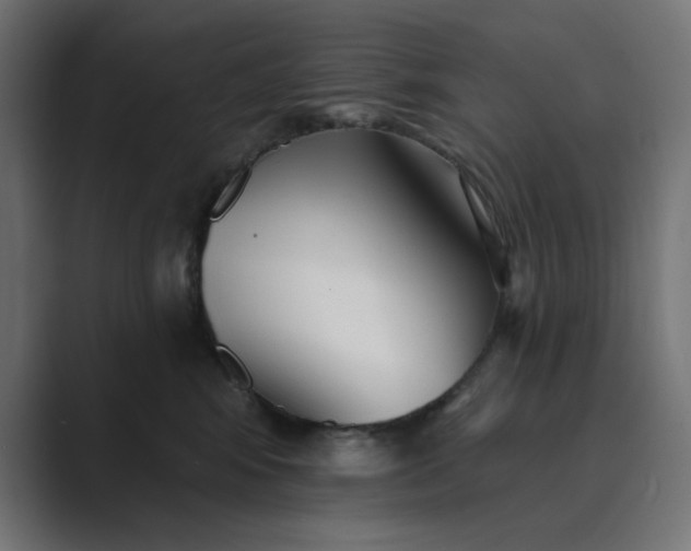 X0000089440424200706291428