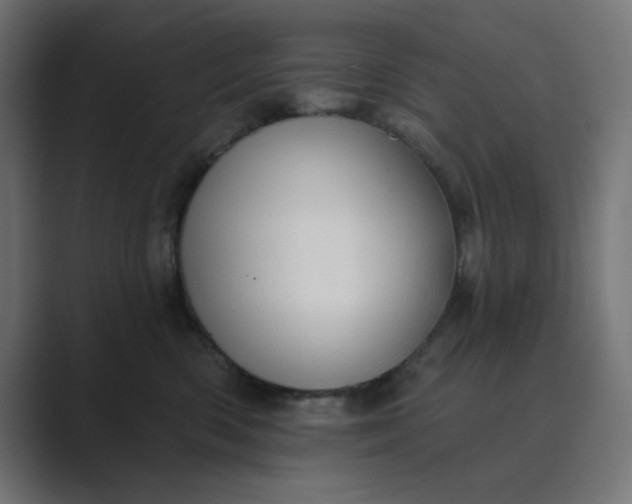 X0000089440426200706291428