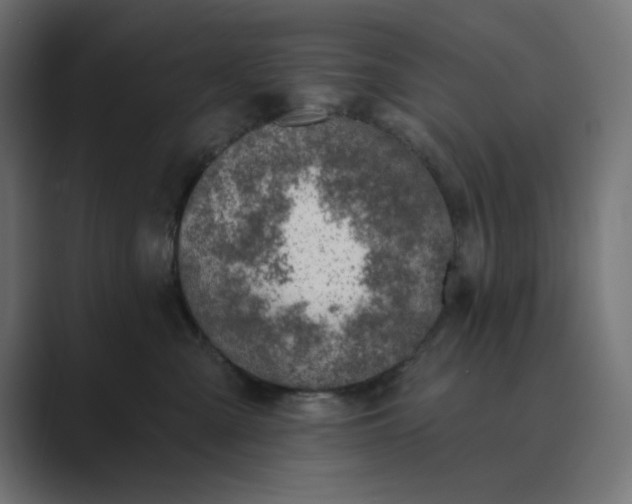 X0000089440427200706291428