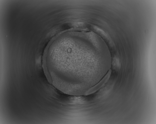 X0000089440428200706291428