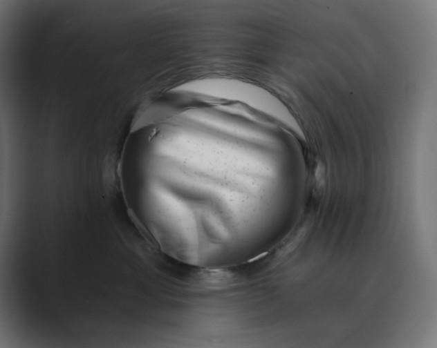 X0000089440429200706291428