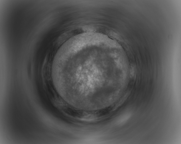 X0000089440431200706291428