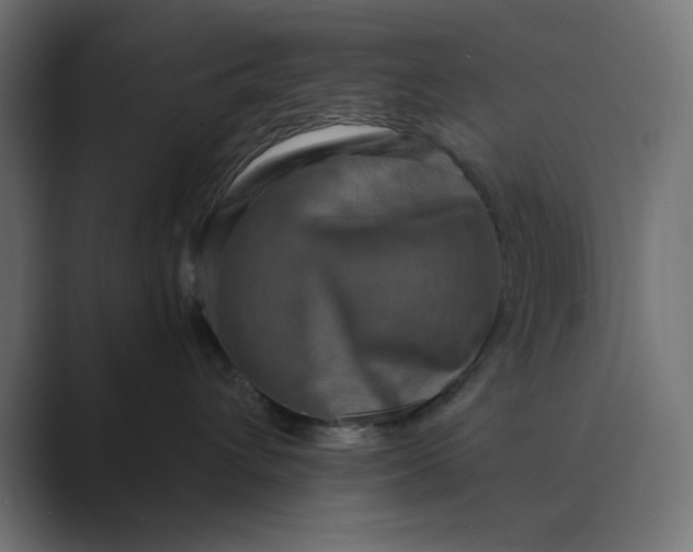 X0000089440432200706291428